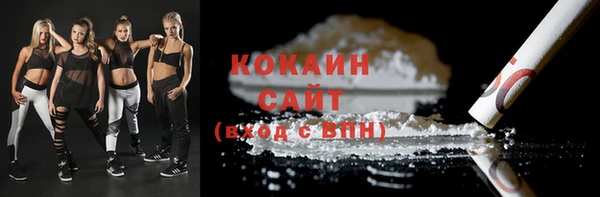 ECSTASY Белокуриха