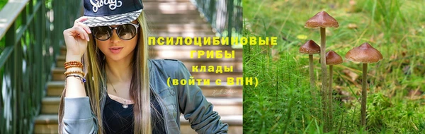 ECSTASY Белокуриха