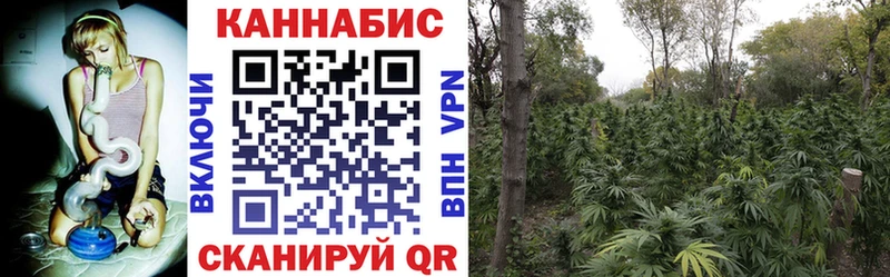 где продают наркотики  Маркс  Бошки марихуана семена 